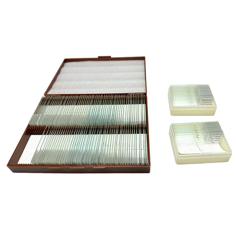 Bộ giáo dục sinh học trượt kính hiển vi, sinh học tự nhiên