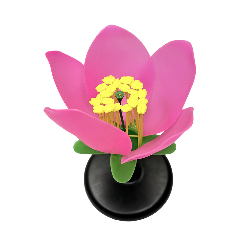 Mô hình giải phẫu trường dạy mô hình hoa đào